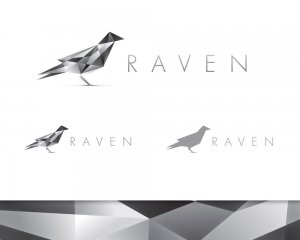 Raven company logo