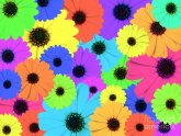 Andy Warhol Pop Art Flowers